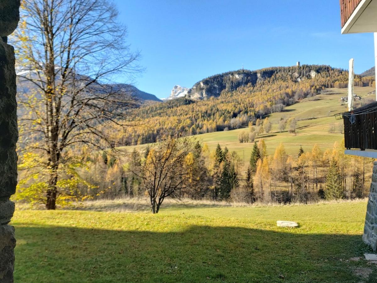 Appartamento Stella Alpina Cortina d'Ampezzo Ngoại thất bức ảnh