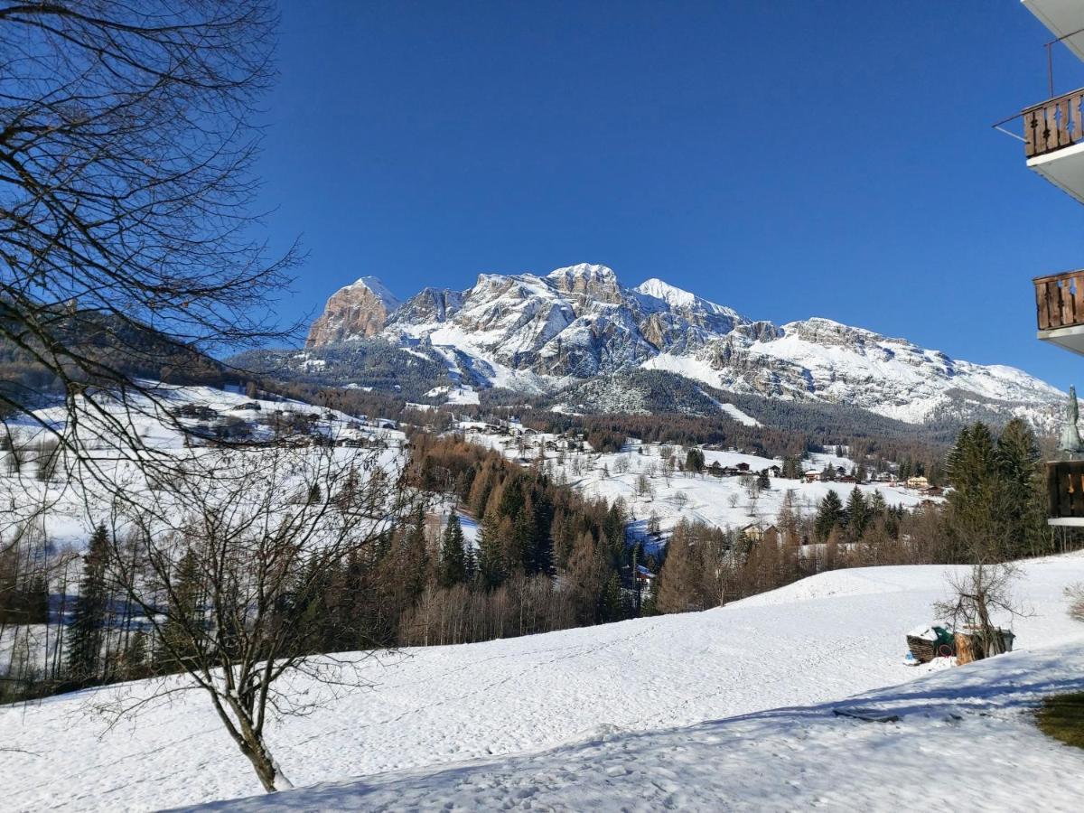 Appartamento Stella Alpina Cortina d'Ampezzo Ngoại thất bức ảnh