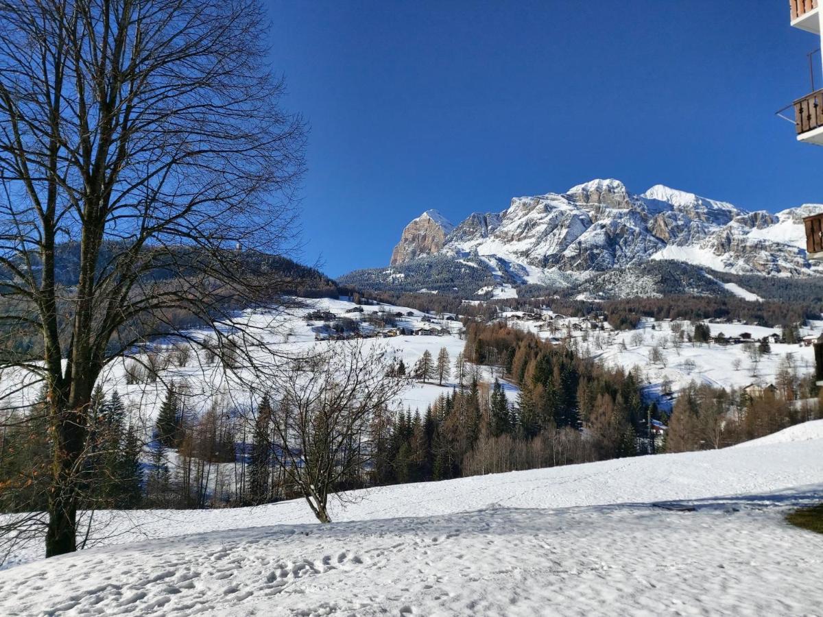 Appartamento Stella Alpina Cortina d'Ampezzo Ngoại thất bức ảnh